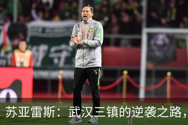 苏亚雷斯：武汉三镇的逆袭之路，休赛期如何稳固防守？