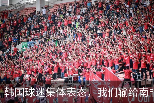 韩国球迷集体表态，我们输给南非，是因为中国国足坑了我们